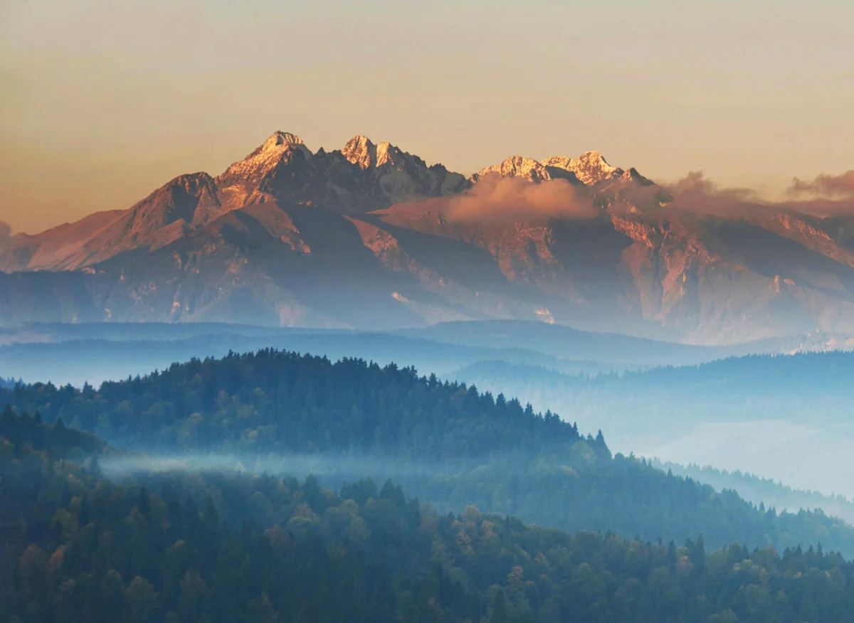 Rok 2023 - czy  kupić paracord na metry?