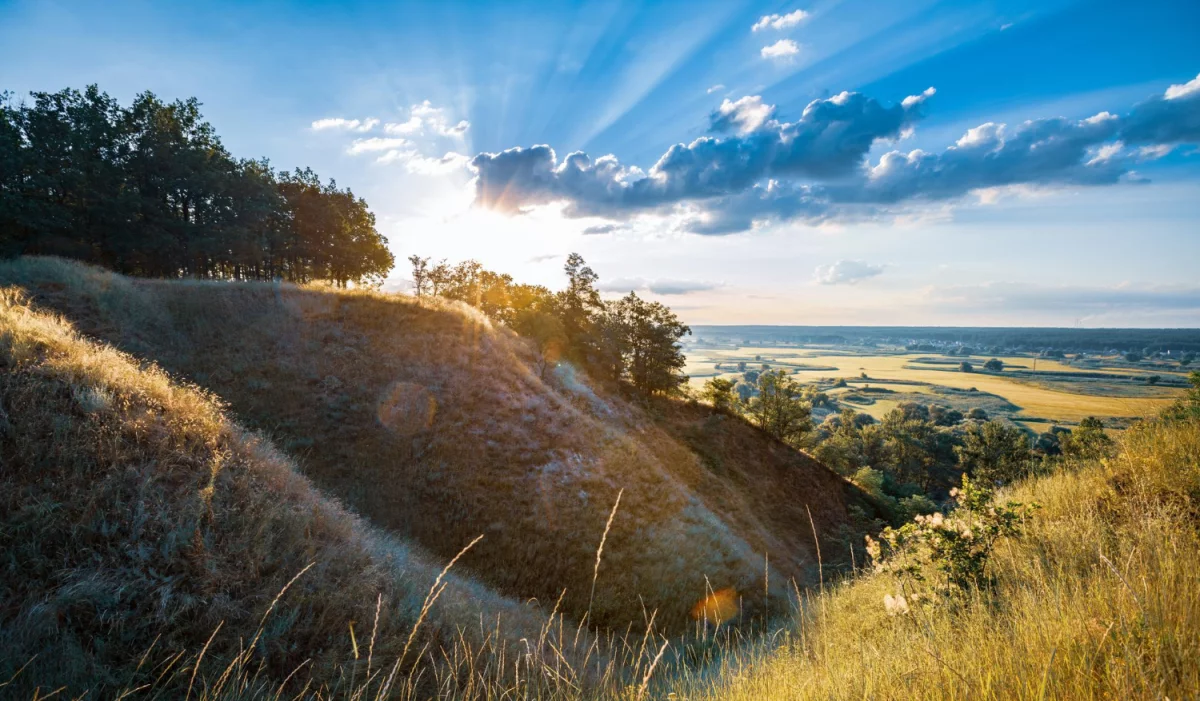 Krótko i na temat: ekspresy do kawy