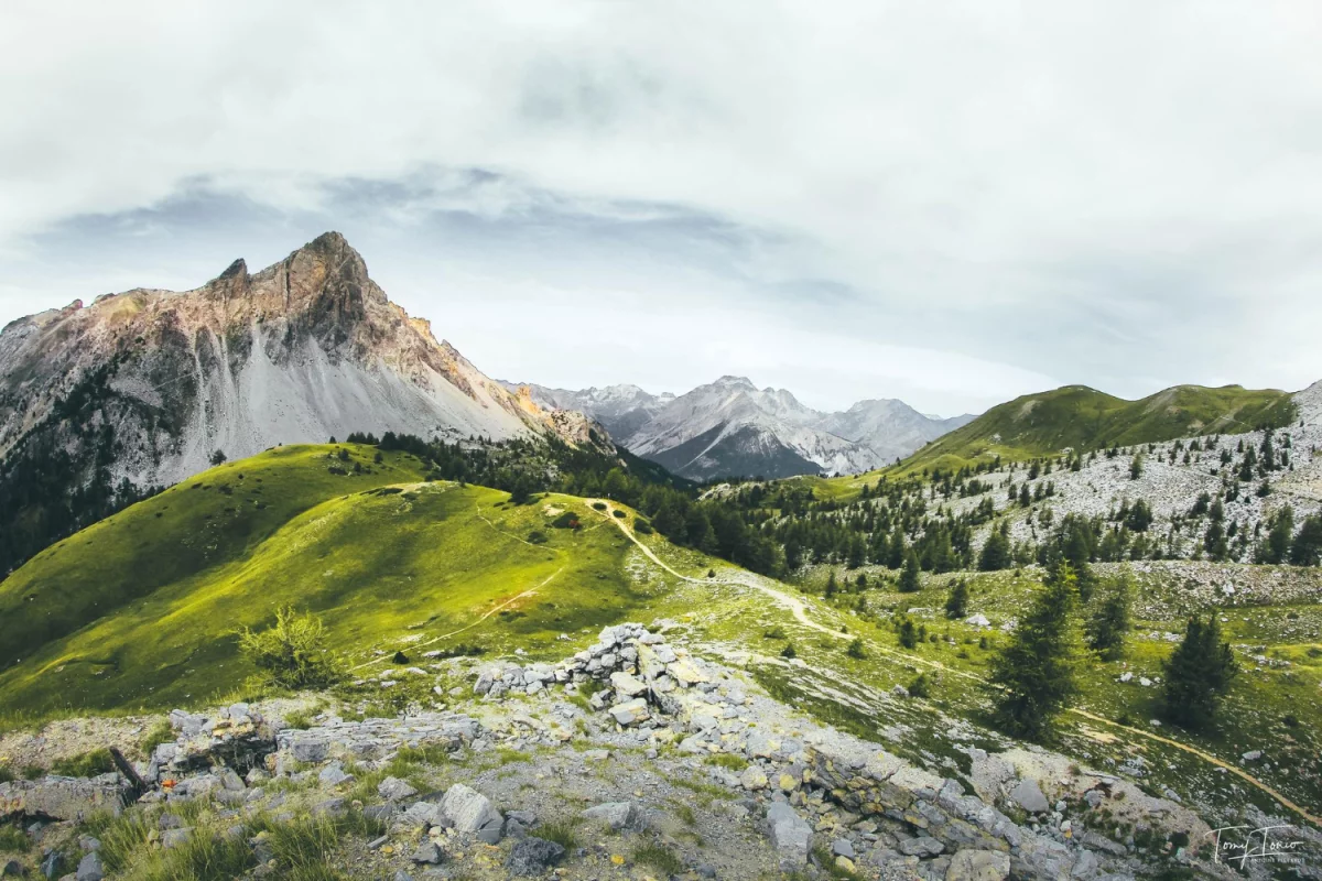 Czy Oddać elektrośmiecie w Łodzi można tanio?