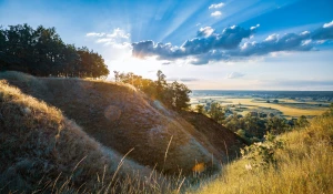 Ciekawe kto może kupić para cord?